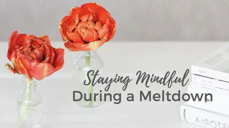 Staying Mindful During a Meltdown