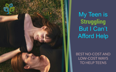My Teen is Struggling But I Can’t Afford Help – Best No-Cost and Low-Cost Ways to Help Teens